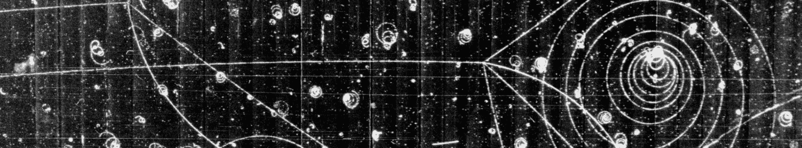 Bubble Chamber particle tracks